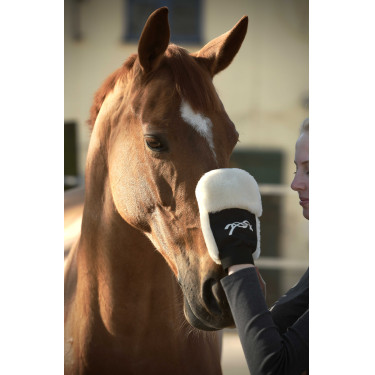 Guante de limpieza Pénélope Negro