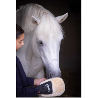 Guante de limpieza Pénélope Negro