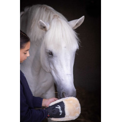 Guante de limpieza Pénélope Negro