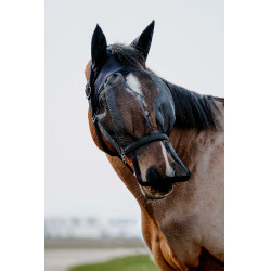 Cabezada + máscara anti-UV Equithème