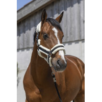 Cabezada Norton Cosy Negro