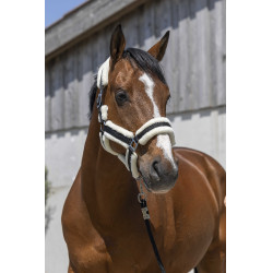 Cabezada Norton Cosy Negro