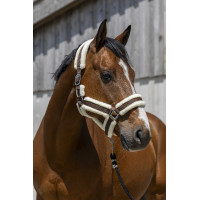 Cabezada Norton Cosy Chocolate Marrón