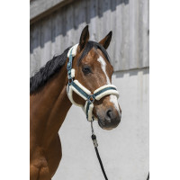 Cabezada Norton Cosy Verde oscuro