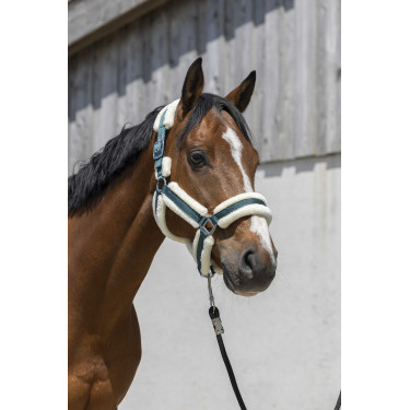 Cabezada Norton Cosy Verde oscuro