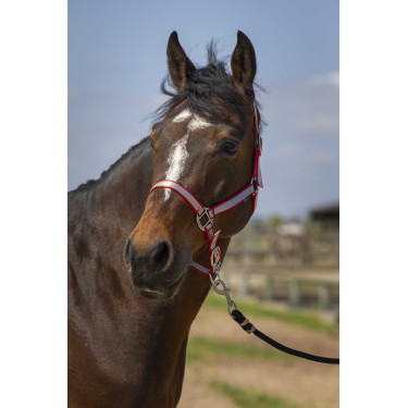Cabezada Norton Nylon Suave Roja Rojo