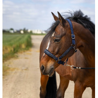 Cabezada de cuadra EQUITHÈME Nylon Strass Azul marino