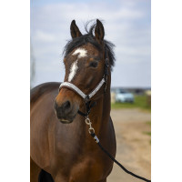 Cabezada de cuadra EQUITHÈME Nylon Check Marino / marrón Azul