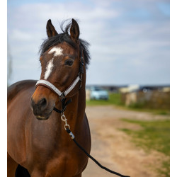 Cabezada de cuadra EQUITHÈME Nylon Check