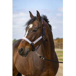 Cabezada de cuadra EQUITHÈME Nylon Check