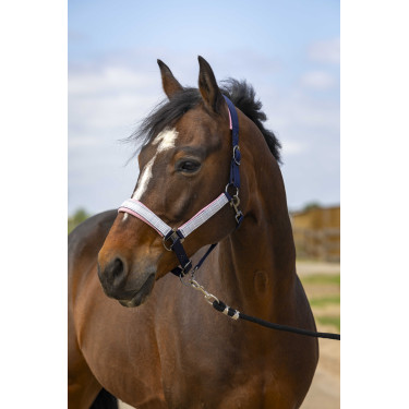 Cabezada de cuadra EQUITHÈME Nylon Check