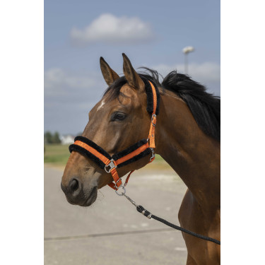 Cabezada de cuadra EQUITHÈME Nylon Mouton Naranja / negro Cabezada de cuadra EQUITHÈME Nylon Mouton Naranja / negro