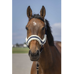Cabezada de cuadra EQUITHÈME Nylon Mouton marine/blanc Azul