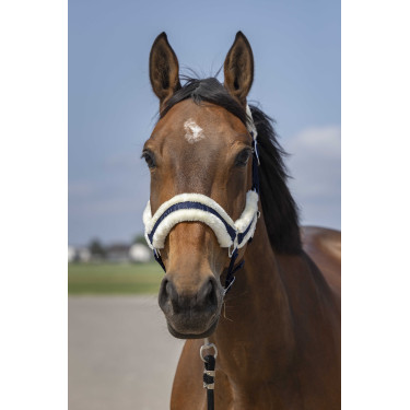 Cabezada de cuadra EQUITHÈME Nylon Mouton marine/blanc Azul Cabezada de cuadra EQUITHÈME Nylon Mouton marine/blanc Azul