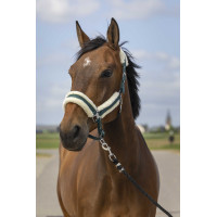 Cabezada de cuadra EQUITHÈME Nylon Mouton Verde / blanco