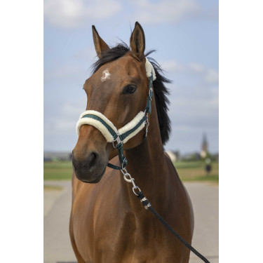 Cabezada de cuadra EQUITHÈME Nylon Mouton Verde / blanco Cabezada de cuadra EQUITHÈME Nylon Mouton Verde / blanco