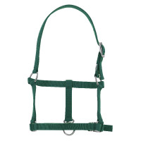 Cabezada potro Riding World Verde oscuro
