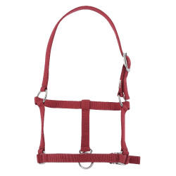 Cabezada potro Riding World Burdeos