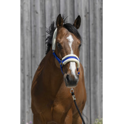 Licol Riding World borreguillo sintético Azul real Licol Riding World borreguillo sintético Azul real