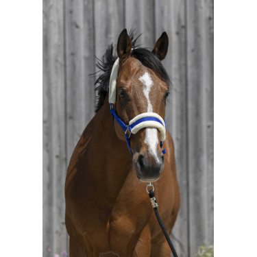 Licol Riding World borreguillo sintético Azul real Licol Riding World borreguillo sintético Azul real