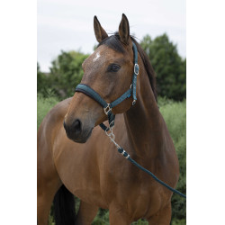 Cabezada + ramal Norton Large Verde oscuro