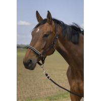 Cabezada de cuadra EQUITHÈME Nylon Chevron Negro