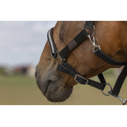 Cabezada de cuadra EQUITHÈME Nylon Chevron Negro Cabezada de cuadra EQUITHÈME Nylon Chevron Negro