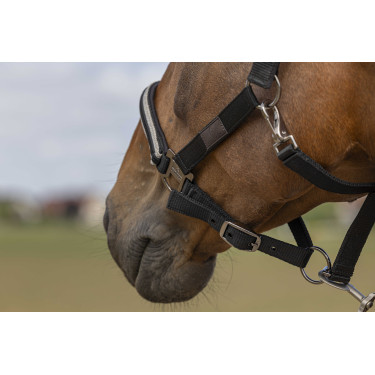 Cabezada de cuadra EQUITHÈME Nylon Chevron Negro Cabezada de cuadra EQUITHÈME Nylon Chevron Negro