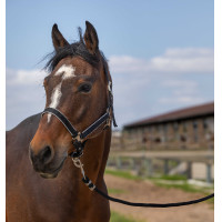 Cabezada Equithème Nylon light Negro