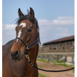 Cabezada Equithème Nylon light Negro