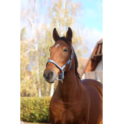 Cabezada de nailon Spring Equithème Azul