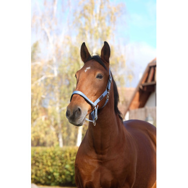 Cabezada de nailon Spring Equithème Azul