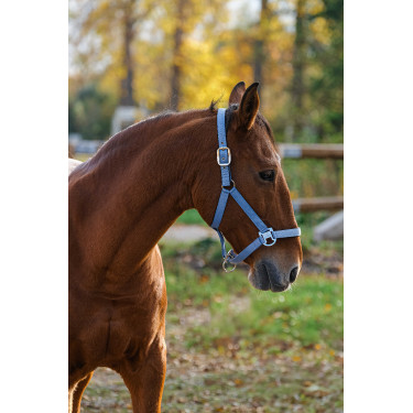 Cabezada de nailon Spring Equithème Azul