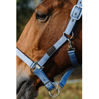 Cabezada de nailon Spring Equithème Verde oscuro
