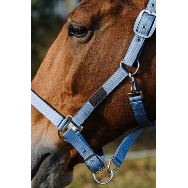Cabezada de nailon Spring Equithème Azul