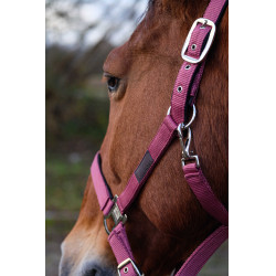 Cabezada de nailon Spring Equithème Rosa