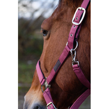 Cabezada de nailon Spring Equithème Rosa
