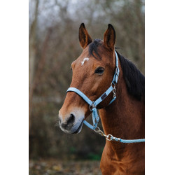 Cabezada de nailon Spring Equithème