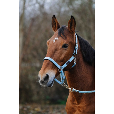 Cabezada de nailon Spring Equithème