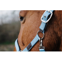 Cabezada de nailon Spring Equithème Turquesa Azul