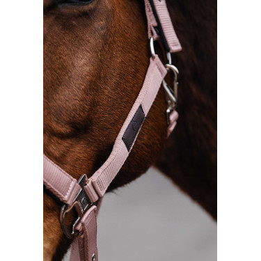 Cabezada de nailon Spring Equithème Rosa claro