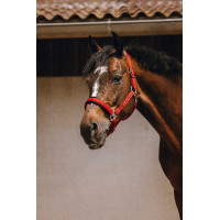 Cabezada de nailon Equithème Jacquard Roja Rojo