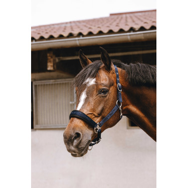 Cabezada de nailon Equithème Jacquard Marino Azul marino Cabezada de nailon Equithème Jacquard Marino Azul marino