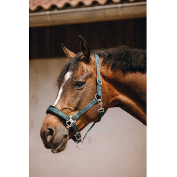Cabezada de nailon Equithème Jacquard Verde Cabezada de nailon Equithème Jacquard Verde