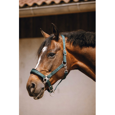 Cabezada de nailon Equithème Jacquard Verde Cabezada de nailon Equithème Jacquard Verde