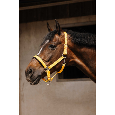 Cabezada de nailon Equithème Jacquard Oro Cabezada de nailon Equithème Jacquard Oro