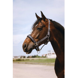 Cabezada de nailon Equithème Jacquard Gris Cabezada de nailon Equithème Jacquard Gris