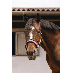 Cabezada de nailon Equithème Jacquard Rosa Cabezada de nailon Equithème Jacquard Rosa
