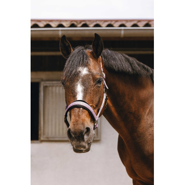 Cabezada de nailon Equithème Jacquard Rosa Cabezada de nailon Equithème Jacquard Rosa
