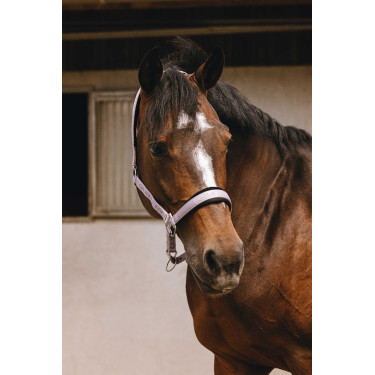 Cabezada de nailon Equithème Jacquard Lila Azul
